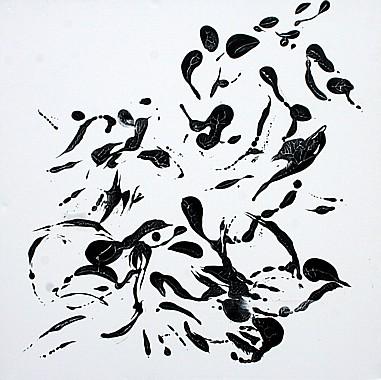 Krähen II  Bilder schwarz weiss