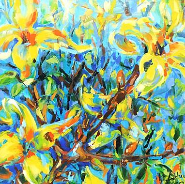 Forsythie  schoene Blumenbilder