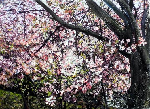  In der Frühlingswolke  Landschaftsbilder