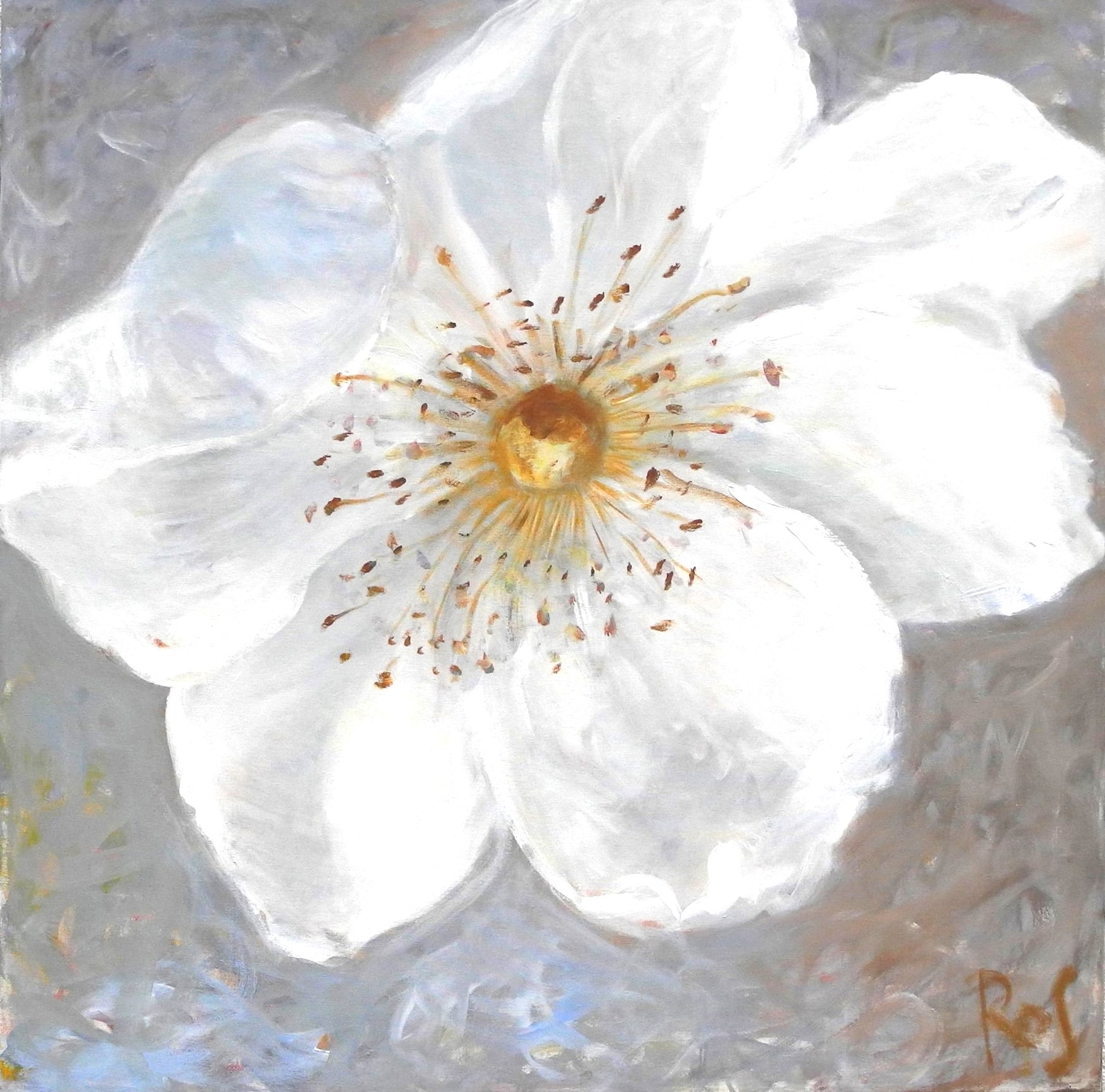 Rossmöller-Schmidt, Nika