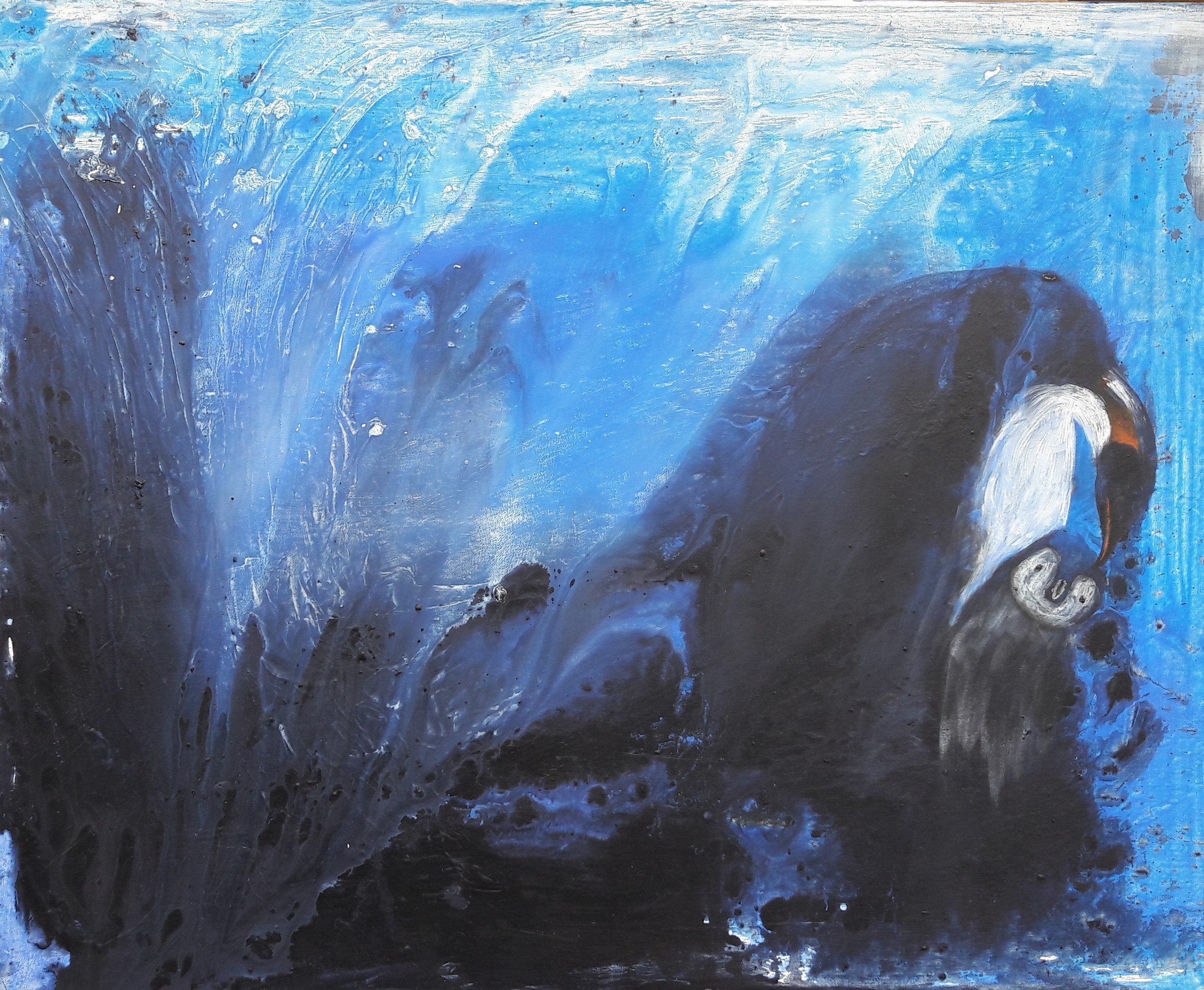 Schützend (Pinguine)  absrakte Tierbilder