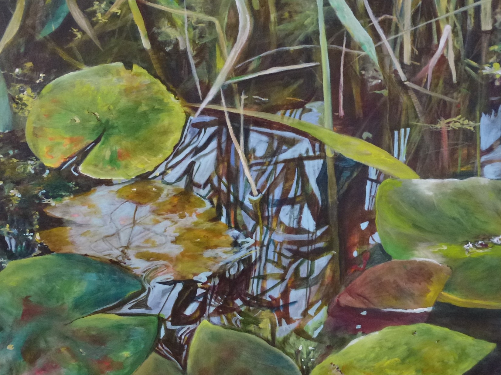 Seerosen Wasserlandschaften auf Leinwand 