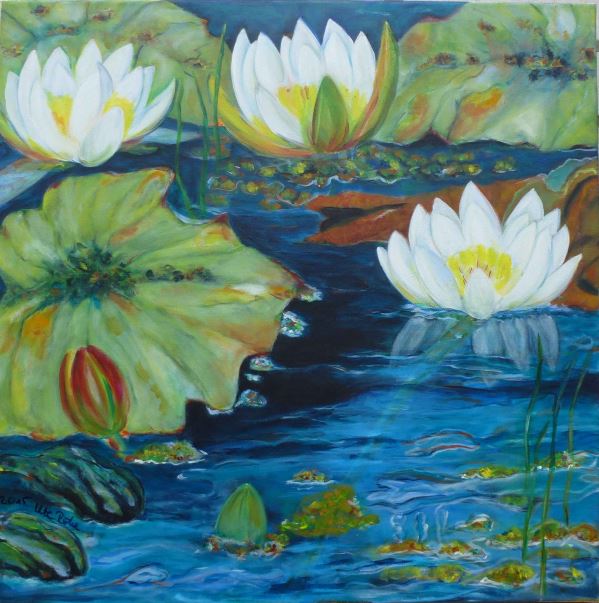 Seerosen 2 Nordesee und Wattenmeer Bilder 