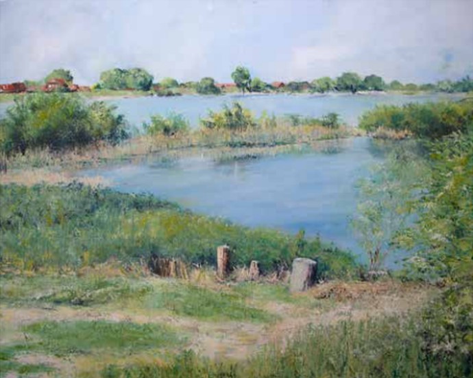 Elbtalauen Landschaftsbilder 