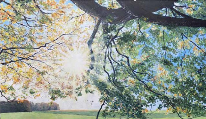 Hansen-Gluschitz, Katharina 