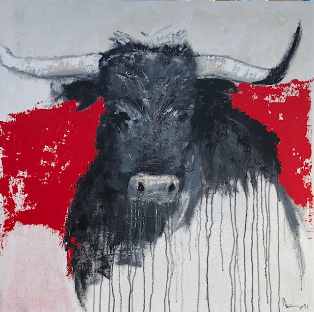 Küpper 2 Stierbilder 