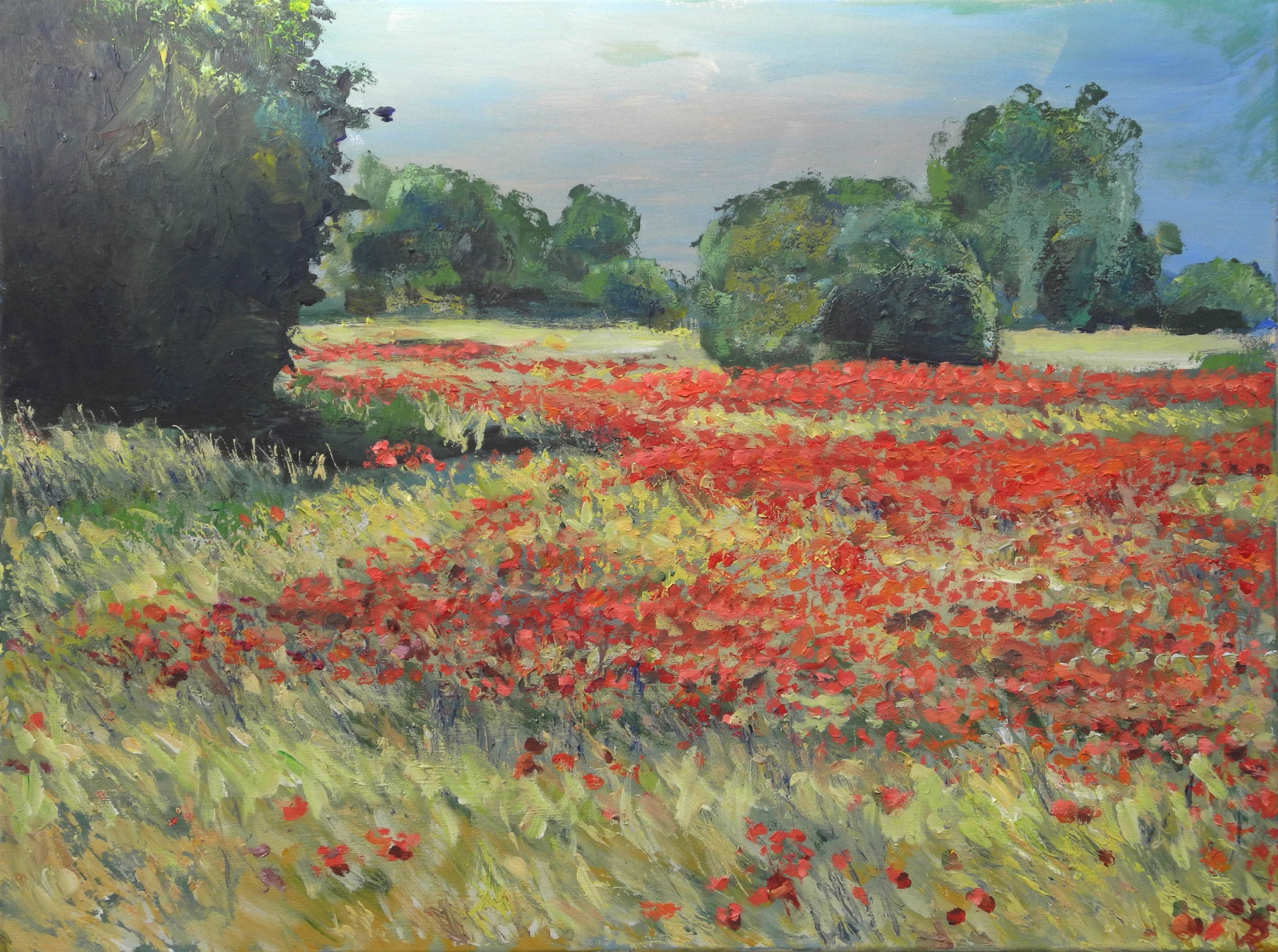 Karower Mohnfeld  Landschaftsbilder