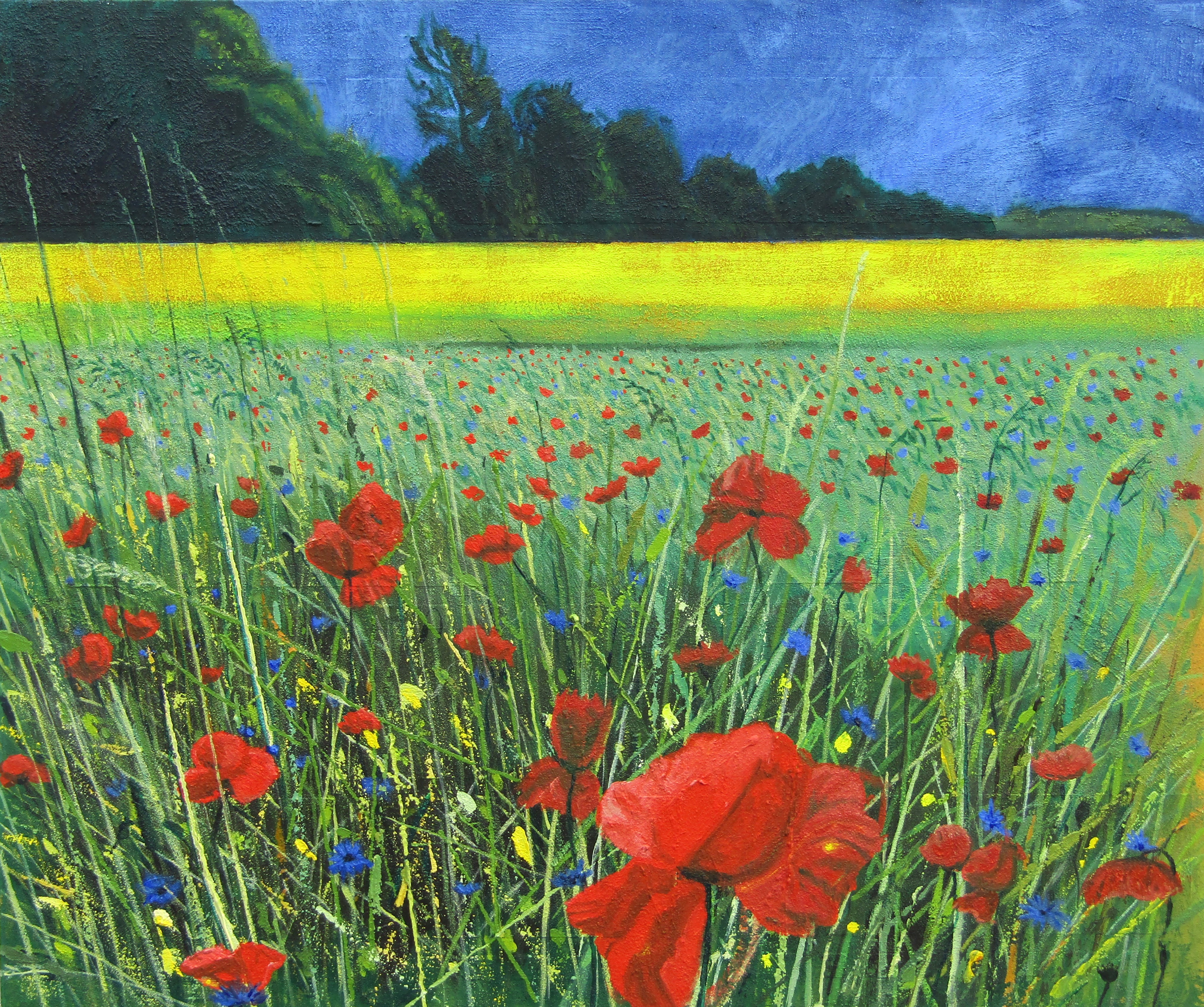 Raps und Mohn Landschaftsmalereii, Landschaftsserie 