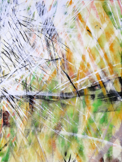 Dünenbild 6