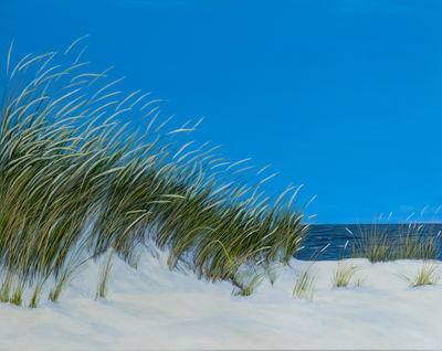 Sommer in den Dünen