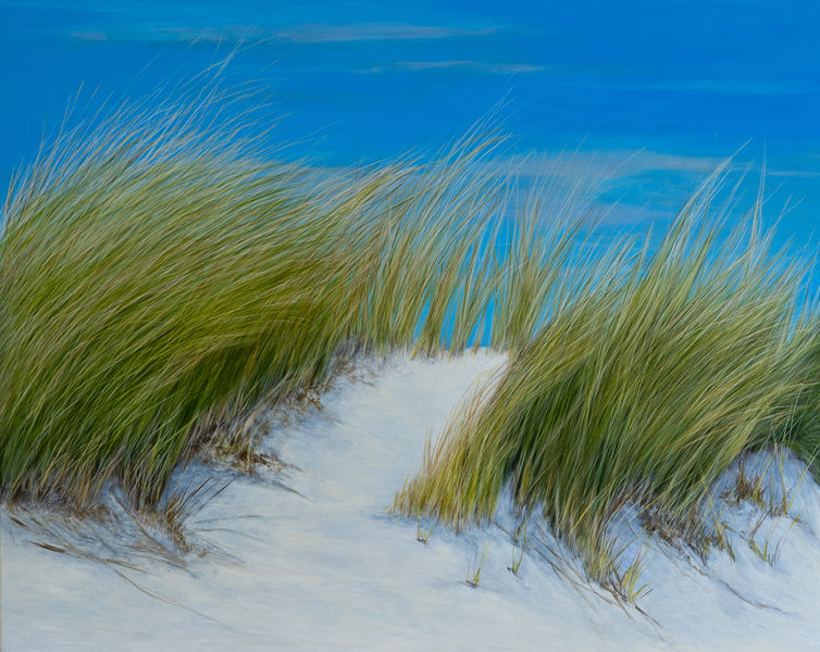 Windspiel in den Dünen