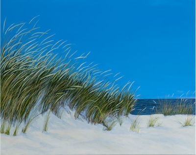 Sommer in den Dünen